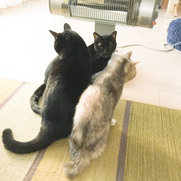 Bfa23e58 4367 4ba0 ad56 b98d79406c5e 1546565998206