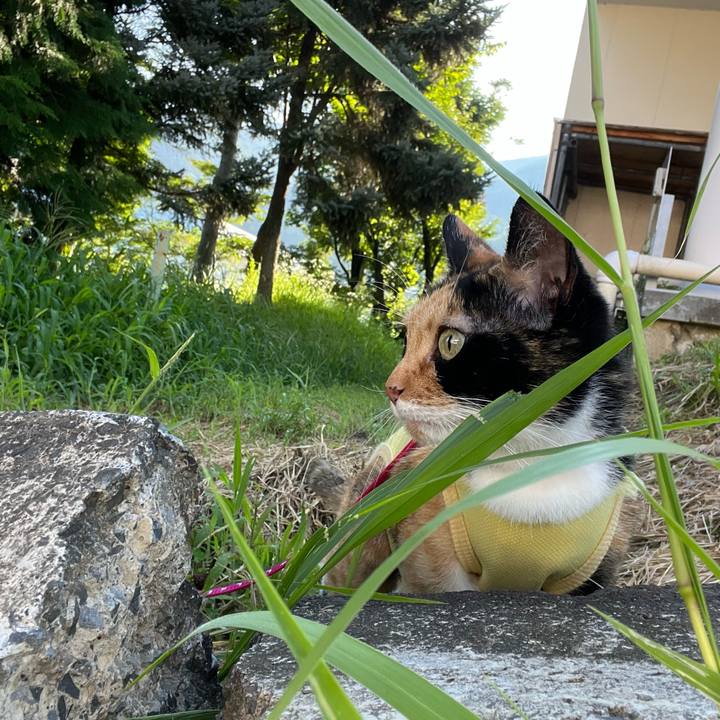 Bfa23fd6 8a27 48c0 bd73 5a25191bfc20 1660000582458