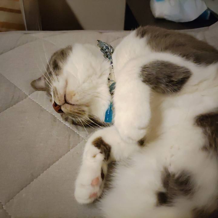 Bfa24a6f b1cc 445e 8328 2f86fed29faf 1688301228929