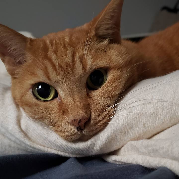 Bfa25f70 64b6 4d6b bcae c484dc5b9707 1719636290460