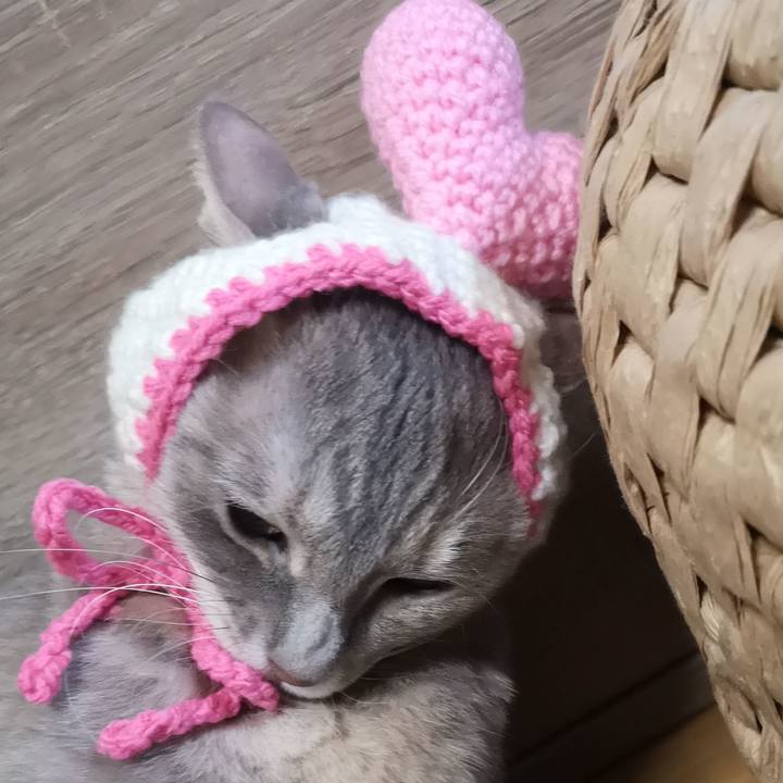 Bfa293c8 31ae 47df b9e8 0221dfd31ca0 1581679903891