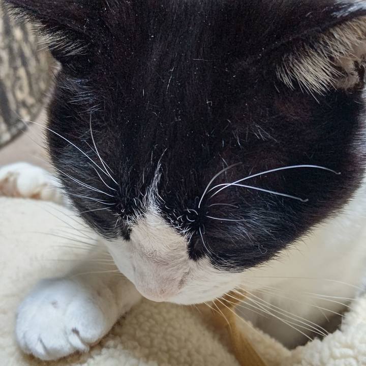 Bfa2c407 91a2 416d a2ec 1fa9b3ec6626 1644407350407