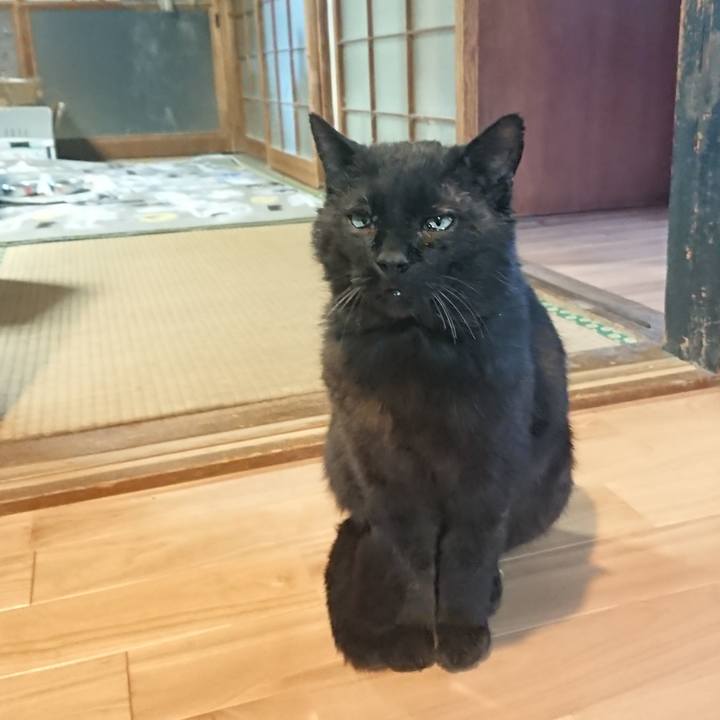 Bfa2cd44 29d3 4ad4 808d 7ae851d433ab 1620986057798