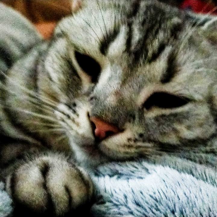 Bfa2df92 6191 40f9 94ac 0bc351ec1f9d 1605915918690