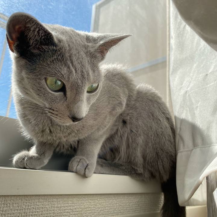 Bfa2e3c4 8cb9 4e38 9860 8339f0261437 1645757809041