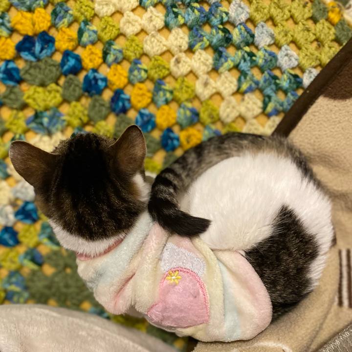 Bfa2f765 7a88 4857 8381 7fd5622e6cb4 1707394594794