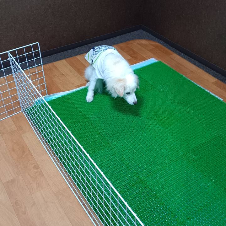 Bfa32042 46d7 421e ac35 ff32dfd67fe1 1756553677141