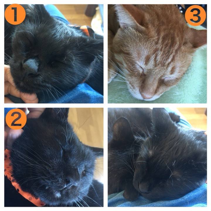 Bfa338d3 3dd7 4382 ad12 dfc2631212c1 1538974659438