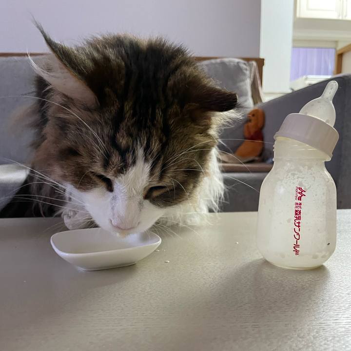 Bfa340db f608 411d b3ac 3293b1ece69f 1686343460594