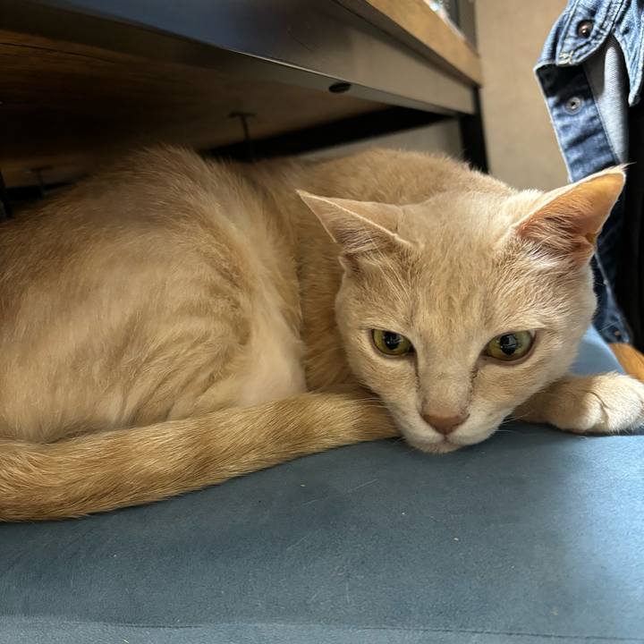 Bfa371a7 4899 4c97 9ac3 480e0f3cba59 1716466212270