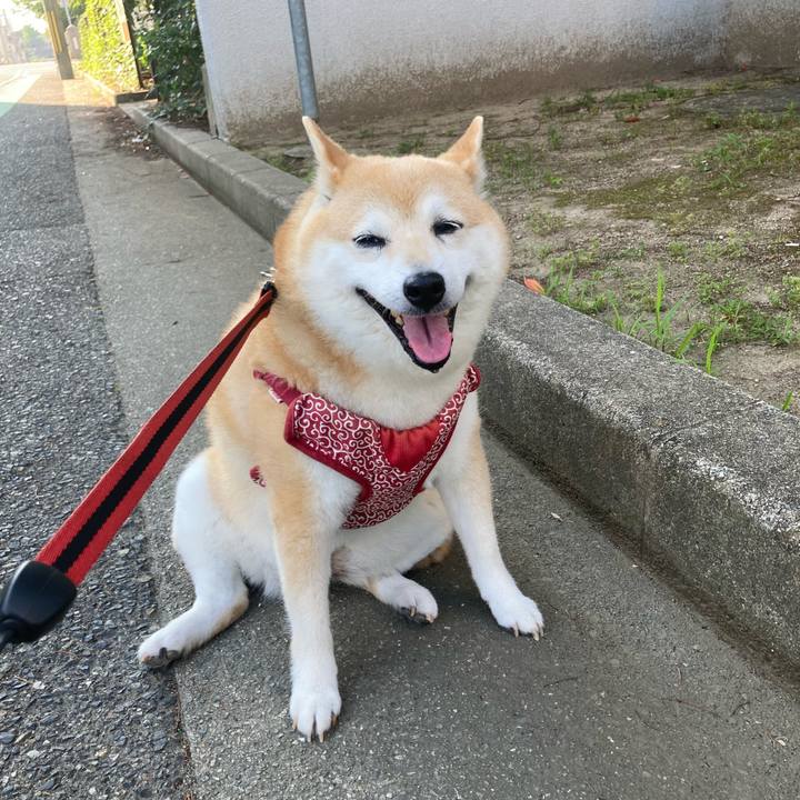 Bfa37463 aed8 4e6f be02 242823b6593a 1656641296660