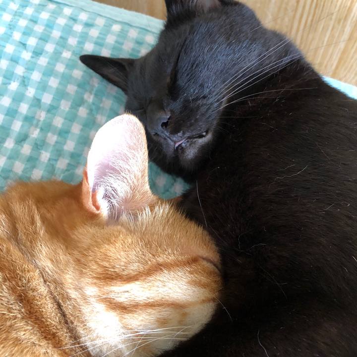 Bfa3a30a a5ea 428e 8f76 7be390f28df7 1723605199320