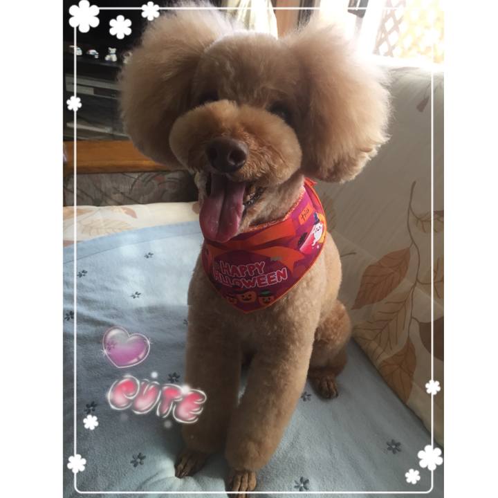 Bfa3a928 0ceb 40db a4b9 d2add88236d1 1538028218404