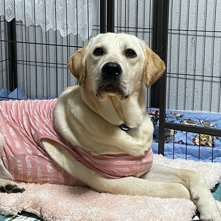 Bfa3b11c 3a8a 488a a0f3 7a7953459b5a 1627825538508