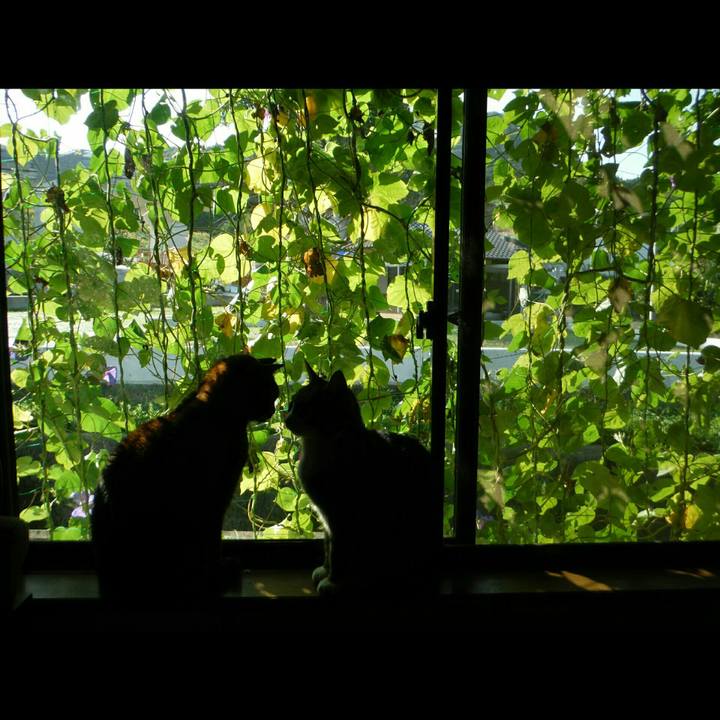 Bfa3b2a1 2211 4b1a be65 0f6500786988 1508916826943