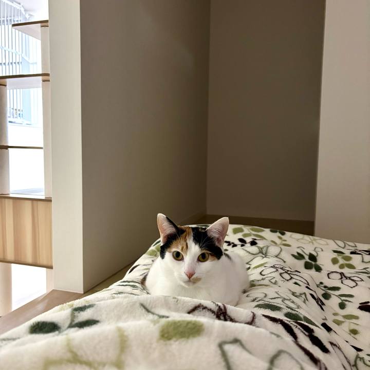 Bfa3dcfc f802 43f6 ab50 80d39c4f31cb 1773116062229