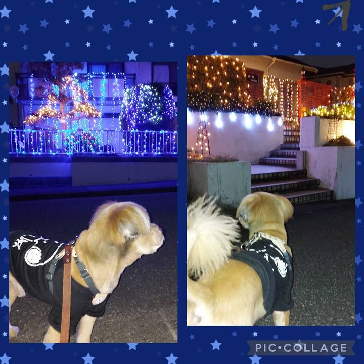 Bfa3fc1d 7ad2 4cf7 ac35 57d8179c20c6 1637061796774