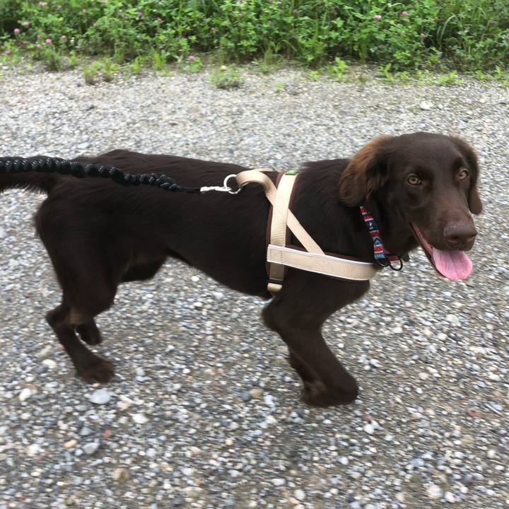 Bfa4058d 6c4b 4105 8723 79ef9e346562 1562554733242