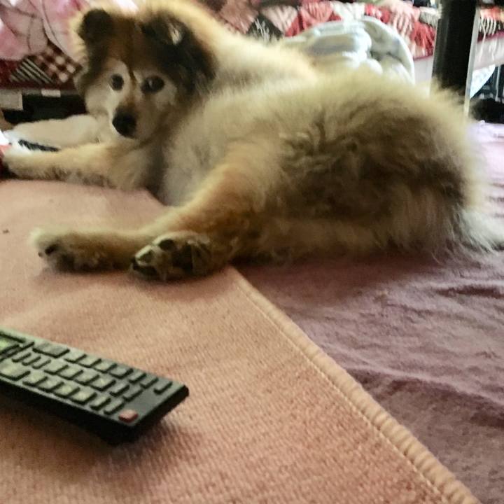 Bfa420b3 9546 4405 bd9f d8863df7a24d 1556839508448