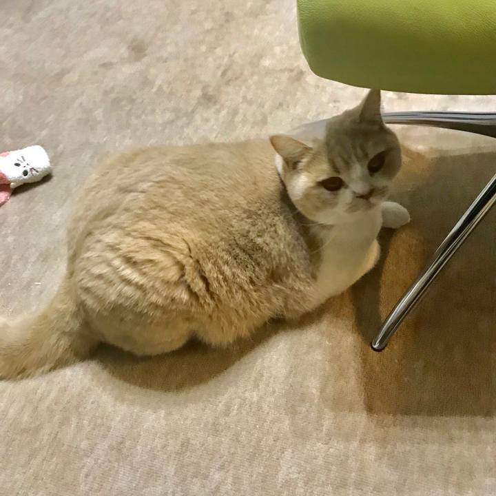 Bfa42a64 028f 4abd 8dad b0f598582da9 1512558164862