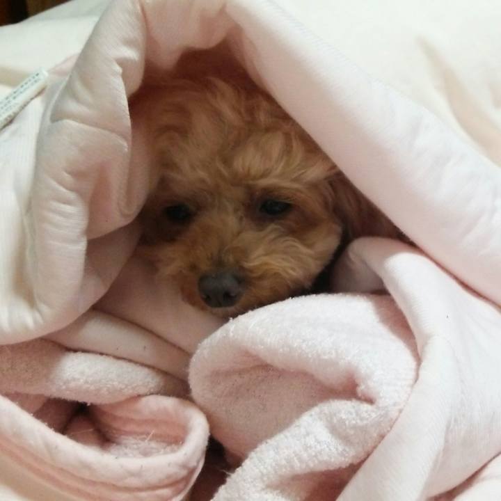 Bfa42da3 6721 4092 b56b b18a16015b80 1528032997720