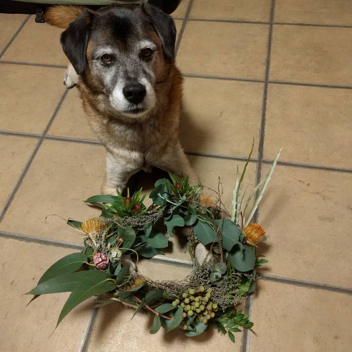 Bfa4508e 25c1 40f0 91e5 dfc88d27d5bf 1543490076208