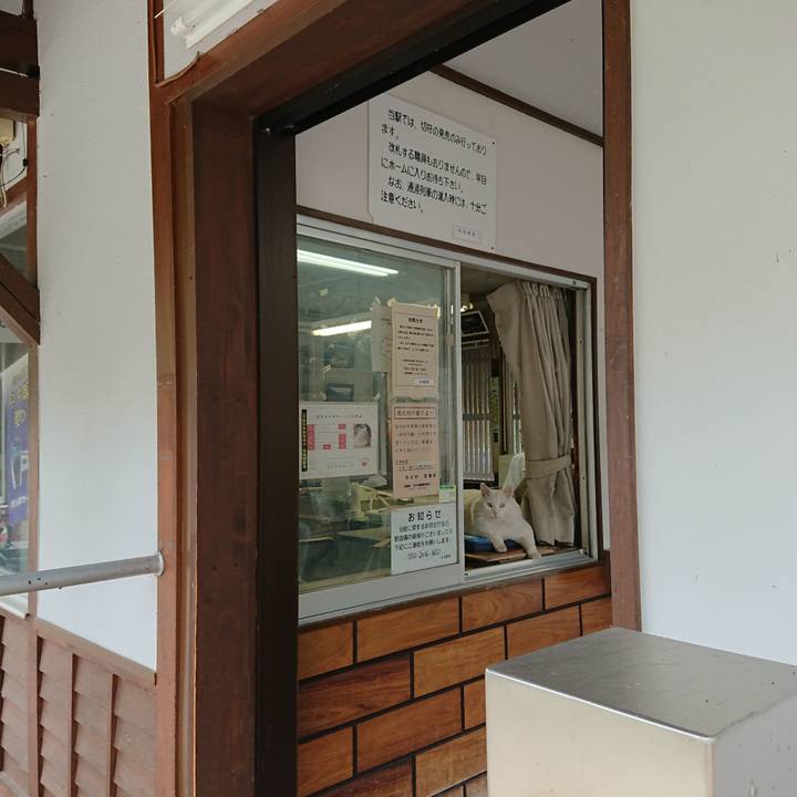 Bfa46704 7191 451a b893 11e51da08571 1562278997978