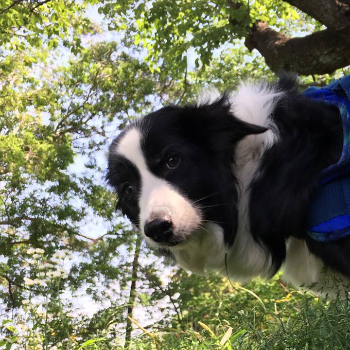 Bfa46902 5518 47a7 bf85 804efa94ba99 1525088597858