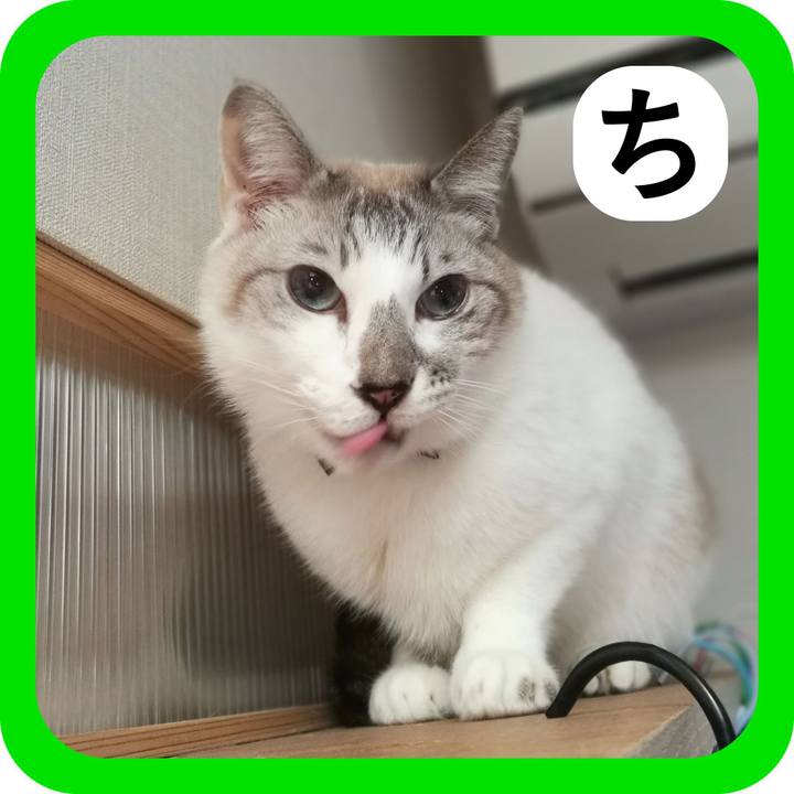 Bfa482b0 b9dd 442b a897 2b3629c9a5ee 1514872958849