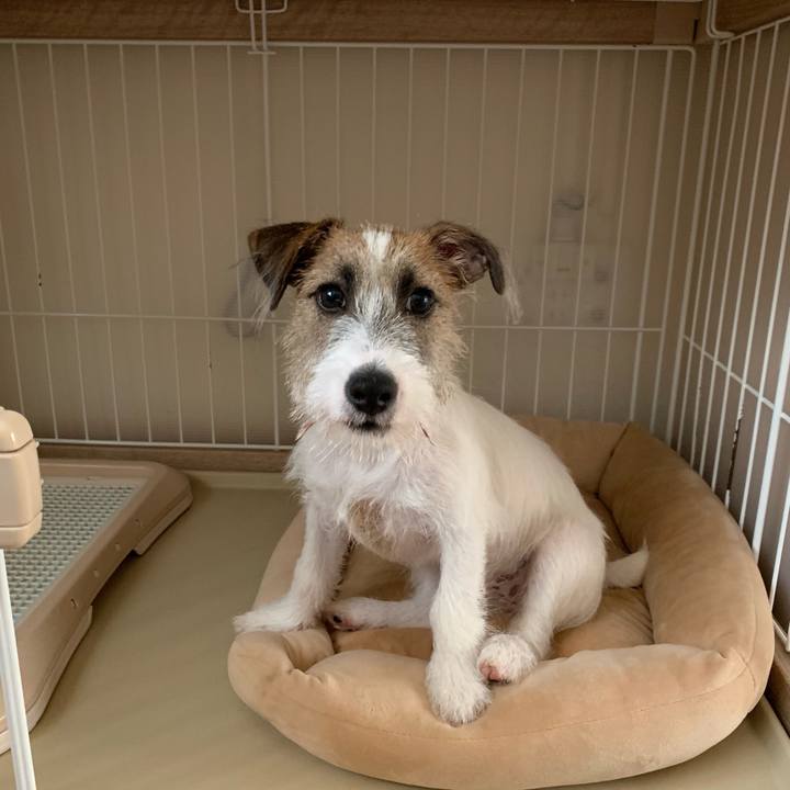 Bfa482cc c30c 464f ae7f f2d2e36a4cef 1564529449279