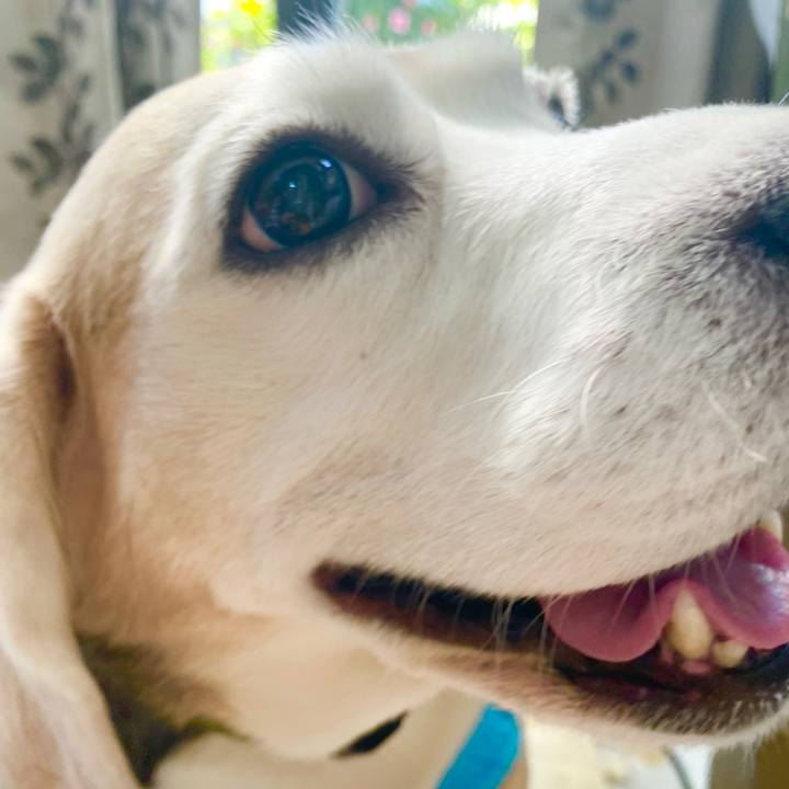 Bfa48501 0431 4fd8 9e04 20c11398c611 1648179693685