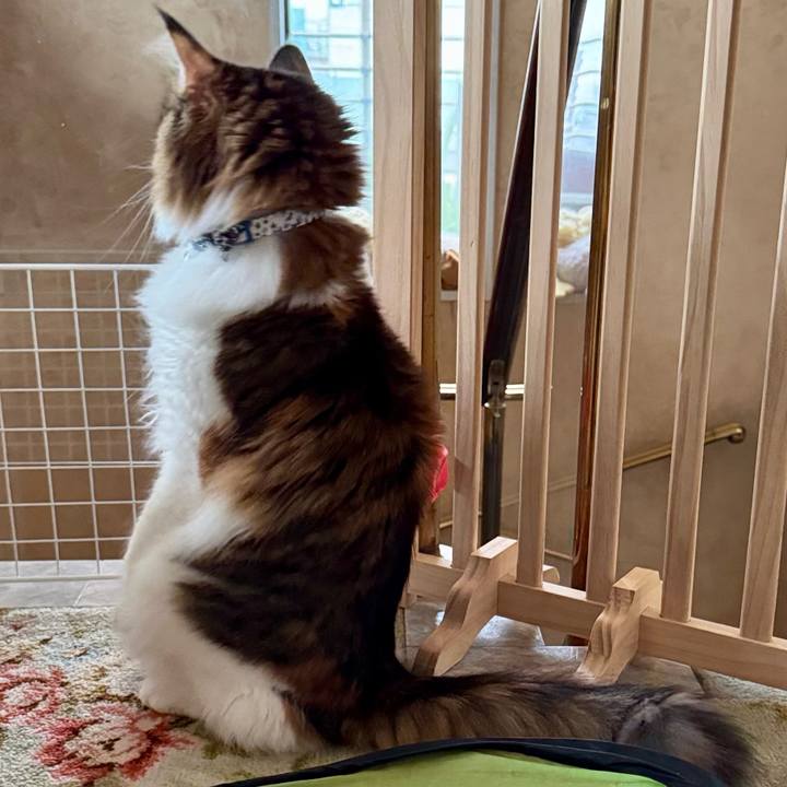 Bfa4908b ef5a 451d a27a 0593d0ebc1f0 1763943206787