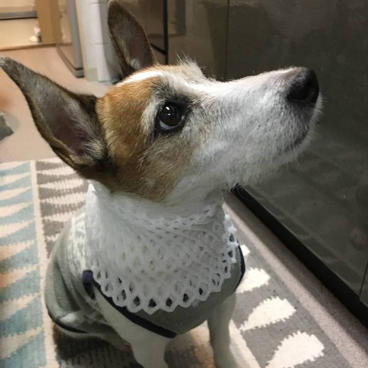 Bfa4d561 4ff4 46e3 a784 43dab195b09f 1637191606750