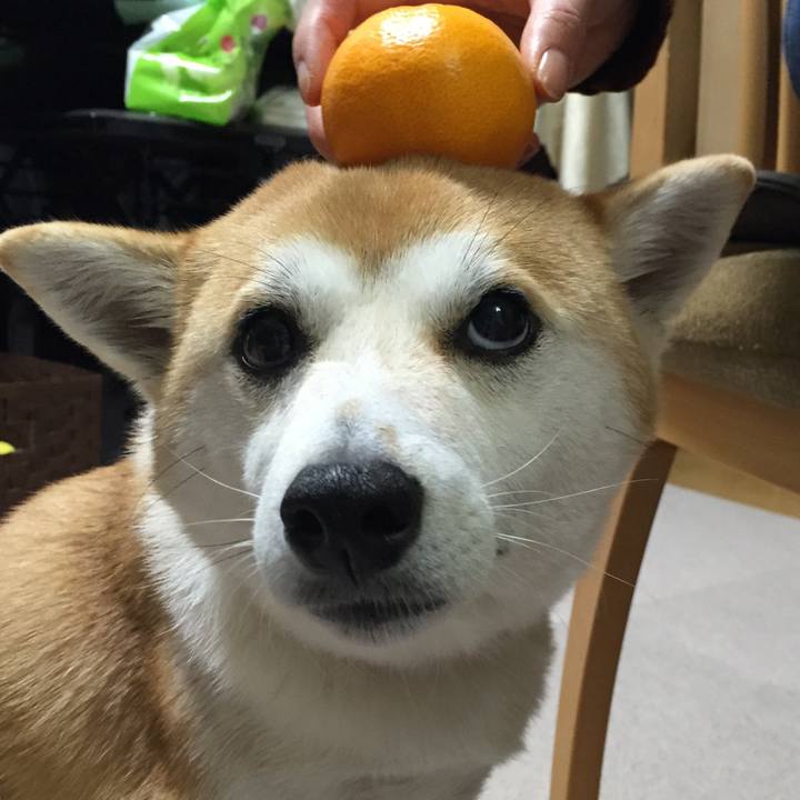 Bfa4e65c 0768 4d90 a4d2 ebca8c208913 1515202615064