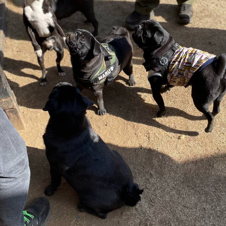 Bfa4ed22 2e1b 48bb 8c7a 6ddbdf4a58b5 1614489518935