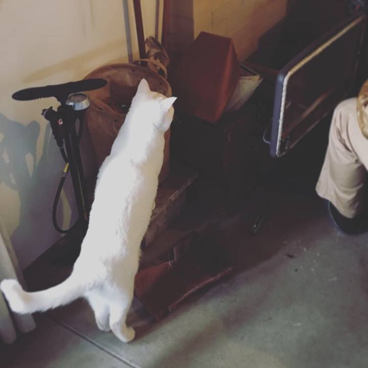 Bfa4f5f9 d1b6 4867 b013 5f7b15f755ff 1548656859704