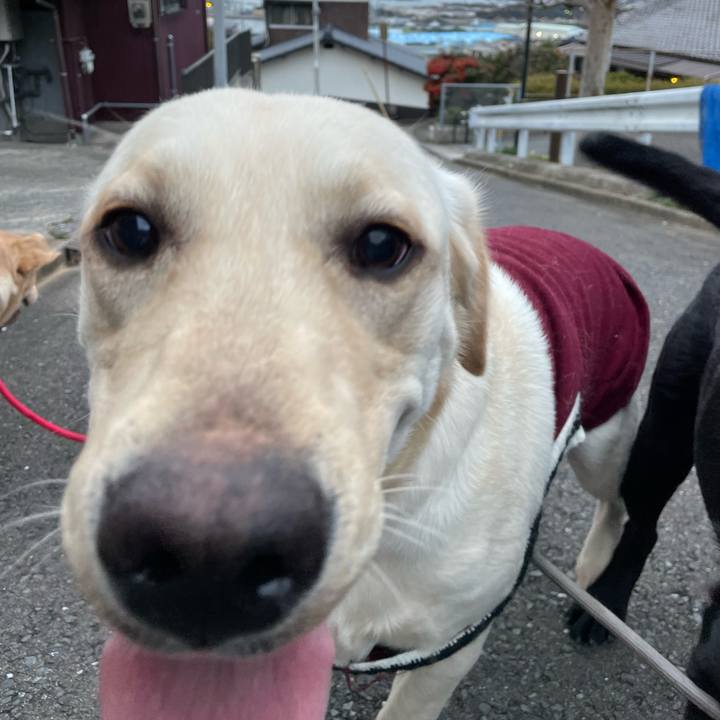 Bfa50550 f0bb 43a0 af72 63df63788c96 1642762774861