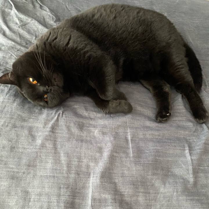 Bfa505b7 8286 4360 b28f 338182c8e1a4 1622076711027