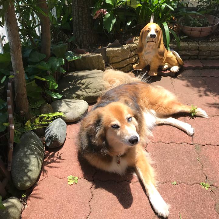 Bfa50812 5c51 480b 996a 5703189e3195 1529375348600