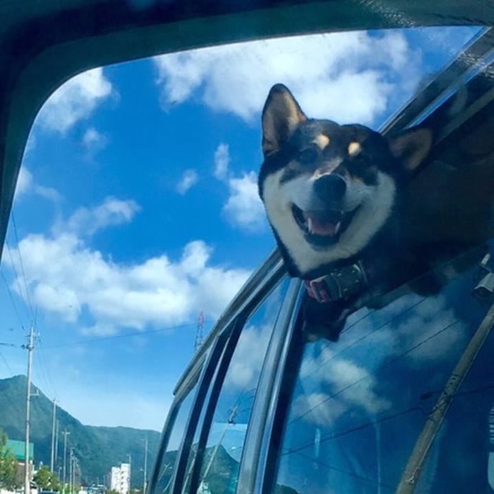 Bfa52e30 0aba 4352 8493 2ada9a2fb028 1558231665841