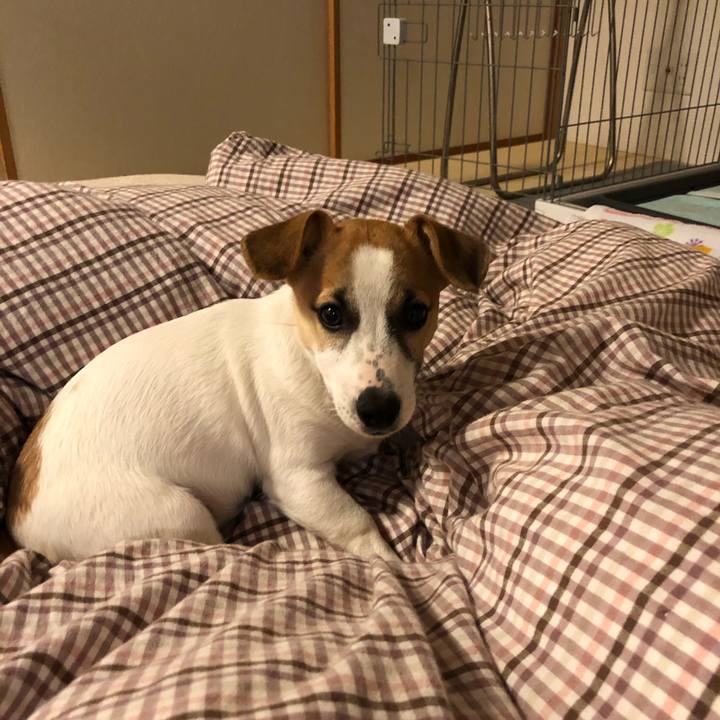 Bfa55277 f9c2 4f07 8106 3465fc60a594 1551454670220