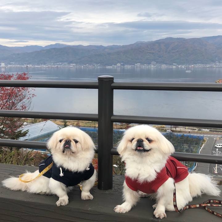 Bfa5ad7f af36 4566 a0fe 50ab01bfacaf 1608907100989