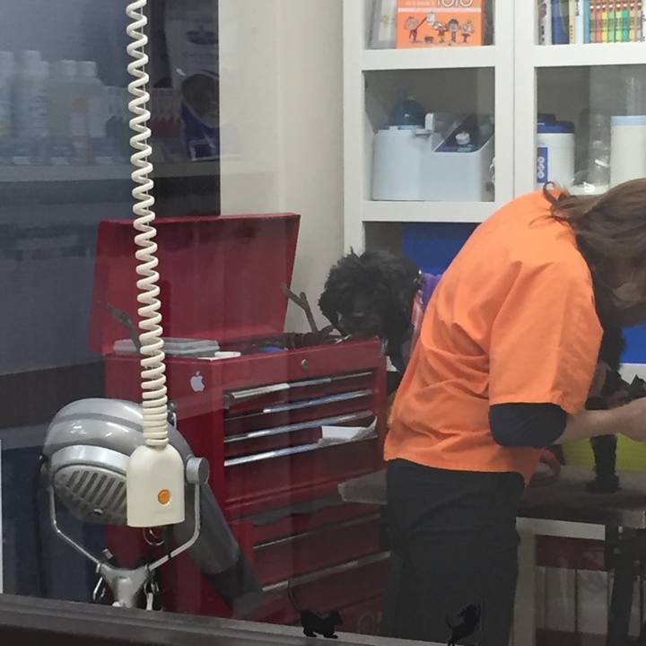 Bfa5cd1c d844 49de a0cd 8c9fa3797556 1513565779703