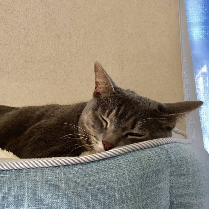 Bfa5d0b0 1a69 4f1e b6b8 21ddcfaa00e1 1515898798250