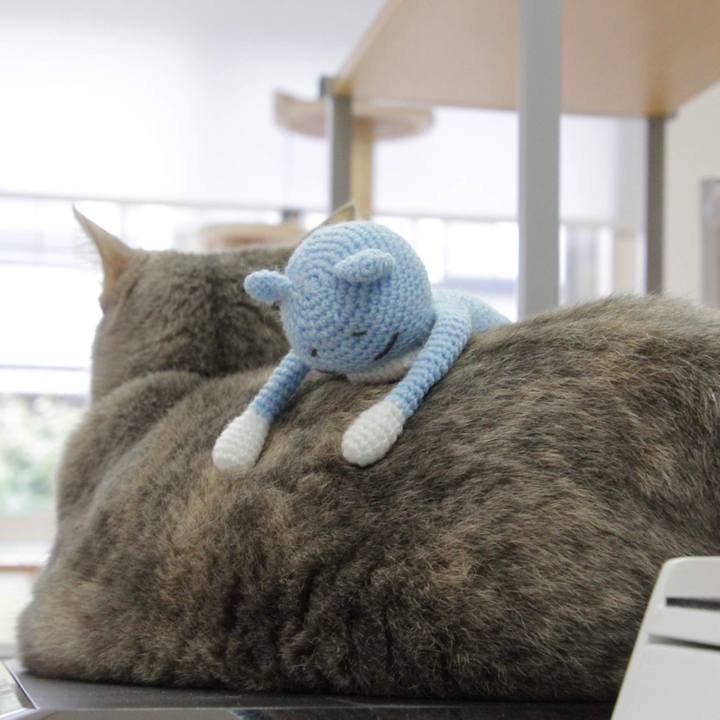 Bfa5d0b0 d219 44fd 9ea4 bc1d5d4d2fe0 1573182741162