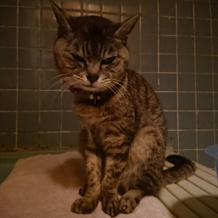 Bfa5d5f7 03f8 4575 8755 0789ebdac568 1593084240730