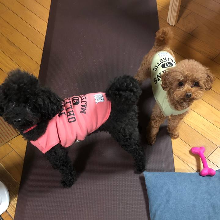 Bfa5e3bc 4ab4 43ae a4c5 2ef29e70cced 1576623367593