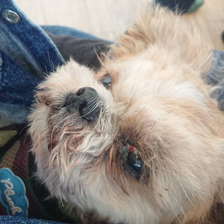 Bfa5e6f8 59d9 4db3 9e3c 8b095b8b6eee 1604543052534