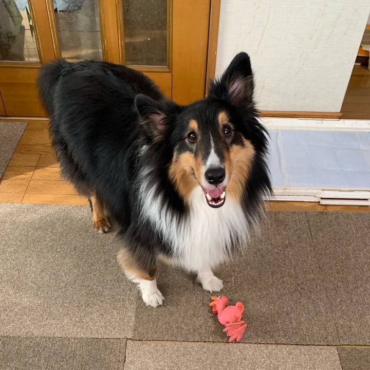 Bfa5ef7b f35a 4ae2 b7c2 c83de1b75c0a 1588197827071