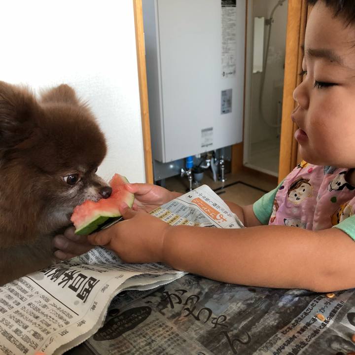 Bfa5fa72 5781 4ba1 834c 3da5cd6932fb 1532563344445